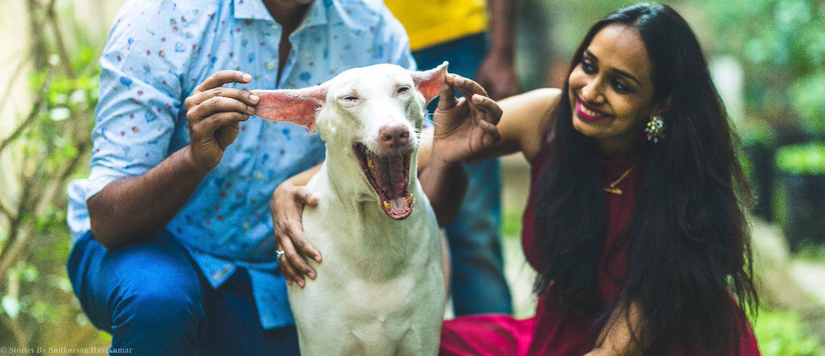 spotonstudios's tweet photo. UNCONDITIONAL LOVE ~ MATERNITY PHOTO SHOOT

Unconditional love towards her dogs lit the frames and the pictures came out beautifully.

#maternity #photography #photoftheday #sudharsanravikumar #sudharsan #storiesbysudharsanravikumar #sr #coupleshoot https://t.co/KOz39JFEpo