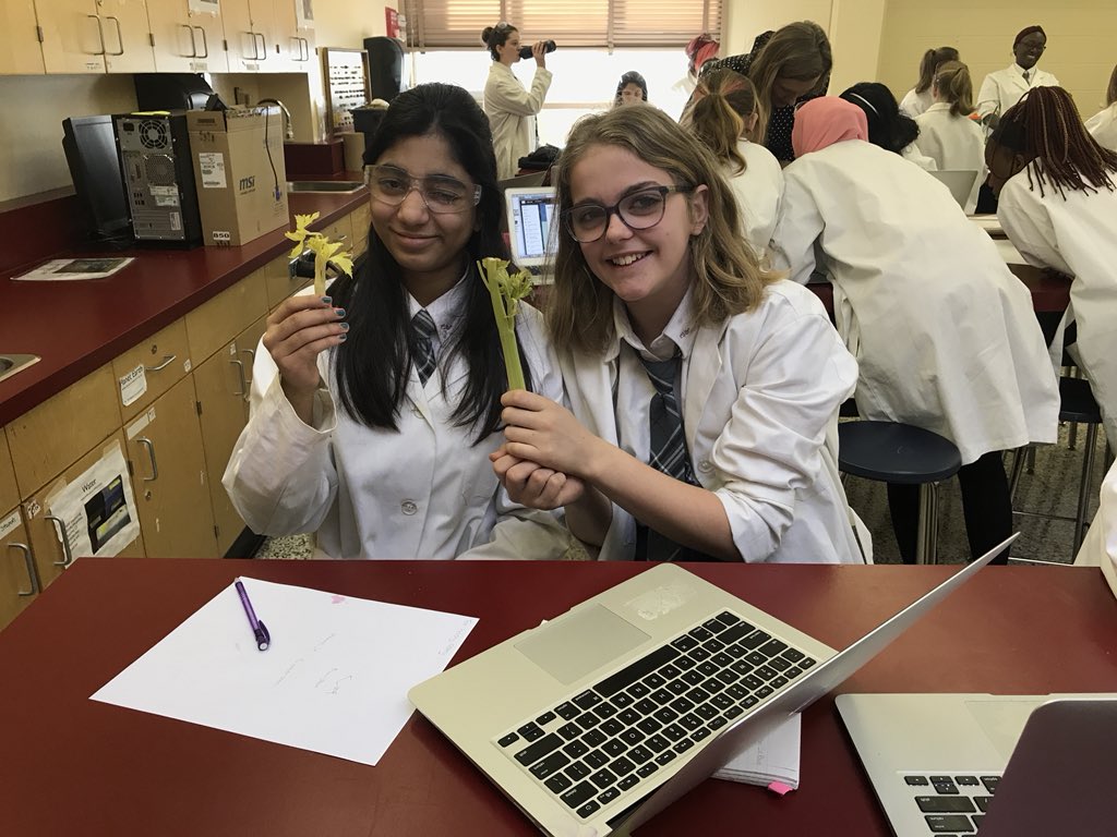 CalGirlsSchool's tweet photo. Science in action. https://t.co/2JxXCFlgVt
