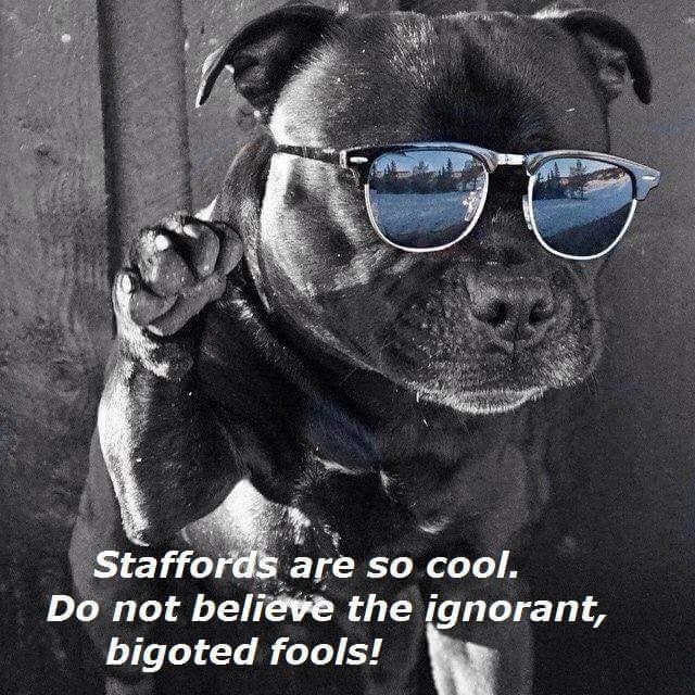 JohnTreacle's tweet image. 