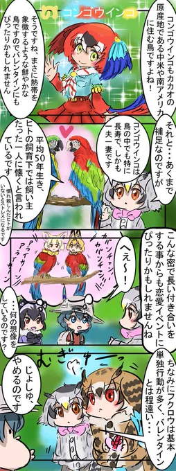 ミニ豆知識４コマ、コンゴウインコ編。世界最大のインコ類で、光沢の有る美しい羽根から金剛(ダイヤモンド)インコという和名が付けられたそうです。　#けものフレンズ　#けものフレンズ考察班 