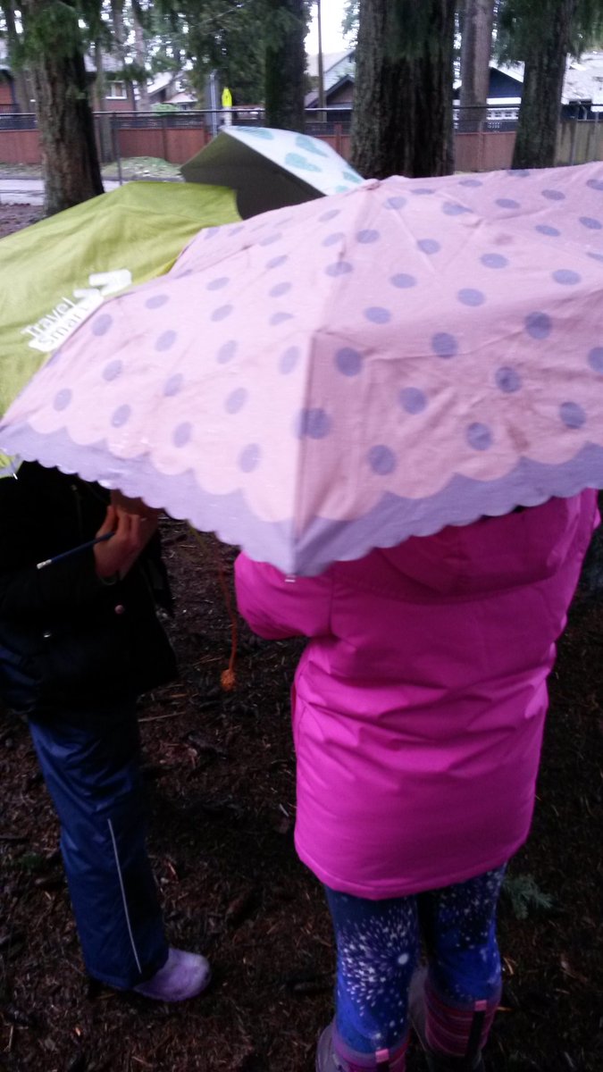 'Why do trees have sap?' 'How does moss get so high on trees?' Qs from our nature observations today #Inquiry #observationskills #nature @NVSD44