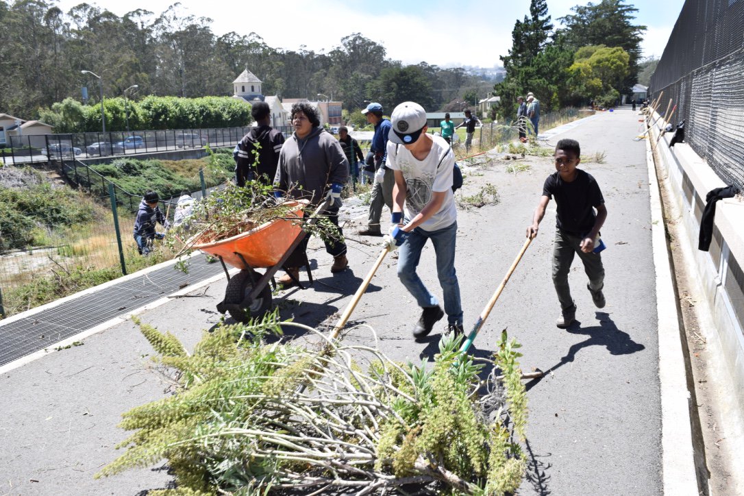 SFGardenProject's tweet photo. Join us at the Noe Valley Farmer’s Market this weekend and learn about native plants! @NoeValleyFM https://t.co/NL7HCzRxFA
