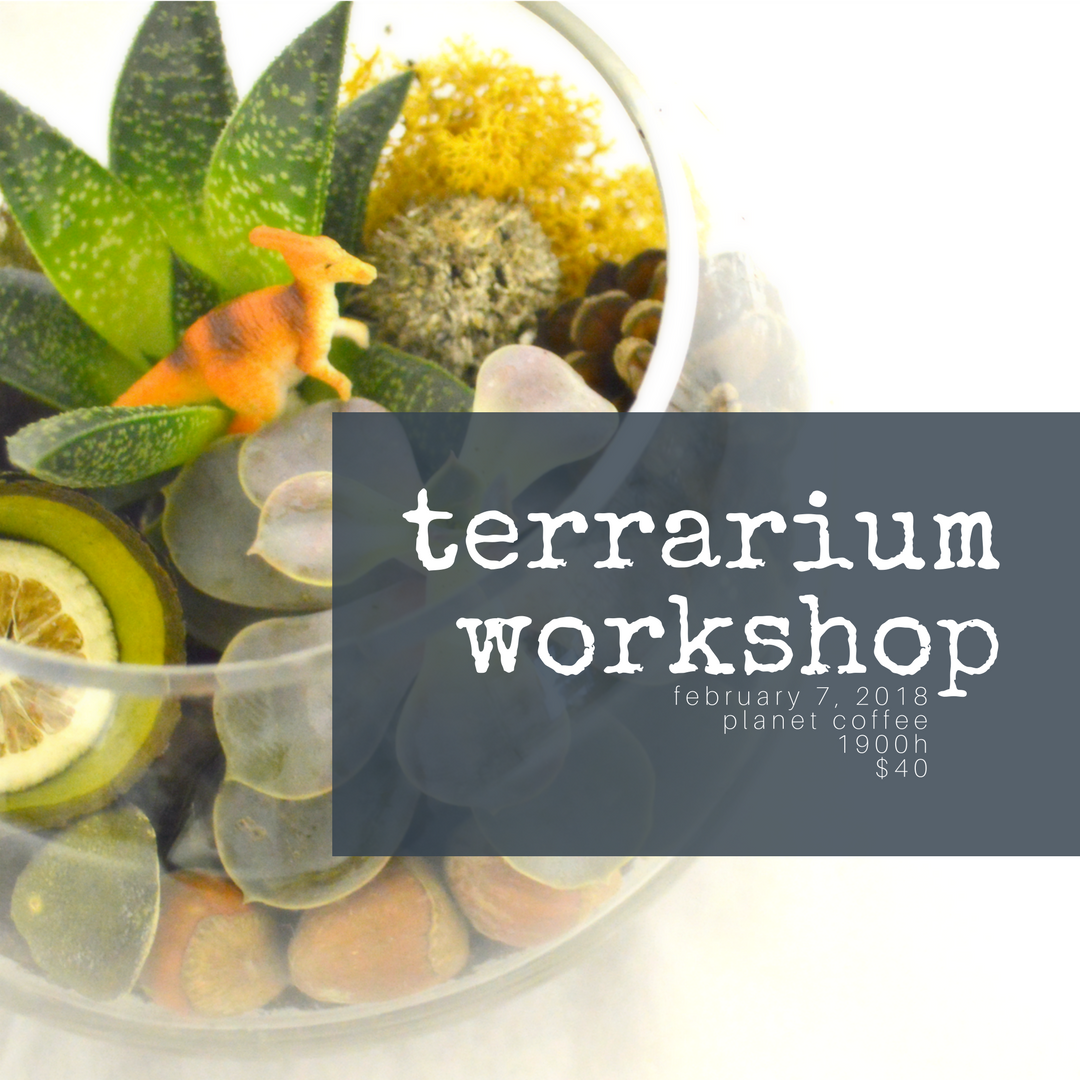 email info@blumenstudio.ca to register. 🌱 spots are limited. 
cc <a href="/planetcoffeeott/">Planet Coffee</a> #Ottawa #OttCity #YOW #ottawaevents #ottawaworkshops