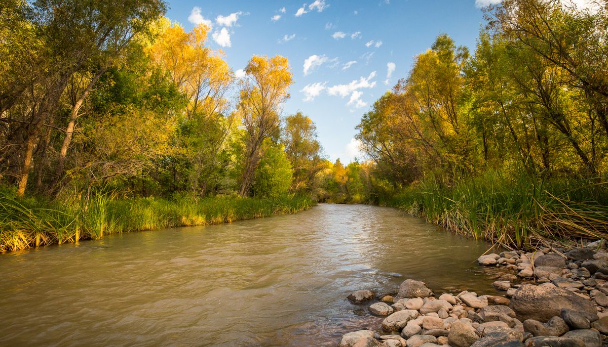 nature_org's tweet photo. To preserve a desert river, these conservationists thought outside the box. They might've created a new market: https://t.co/pnDx5Dq90x via @outsidemagazine https://t.co/2lr72p8RSa