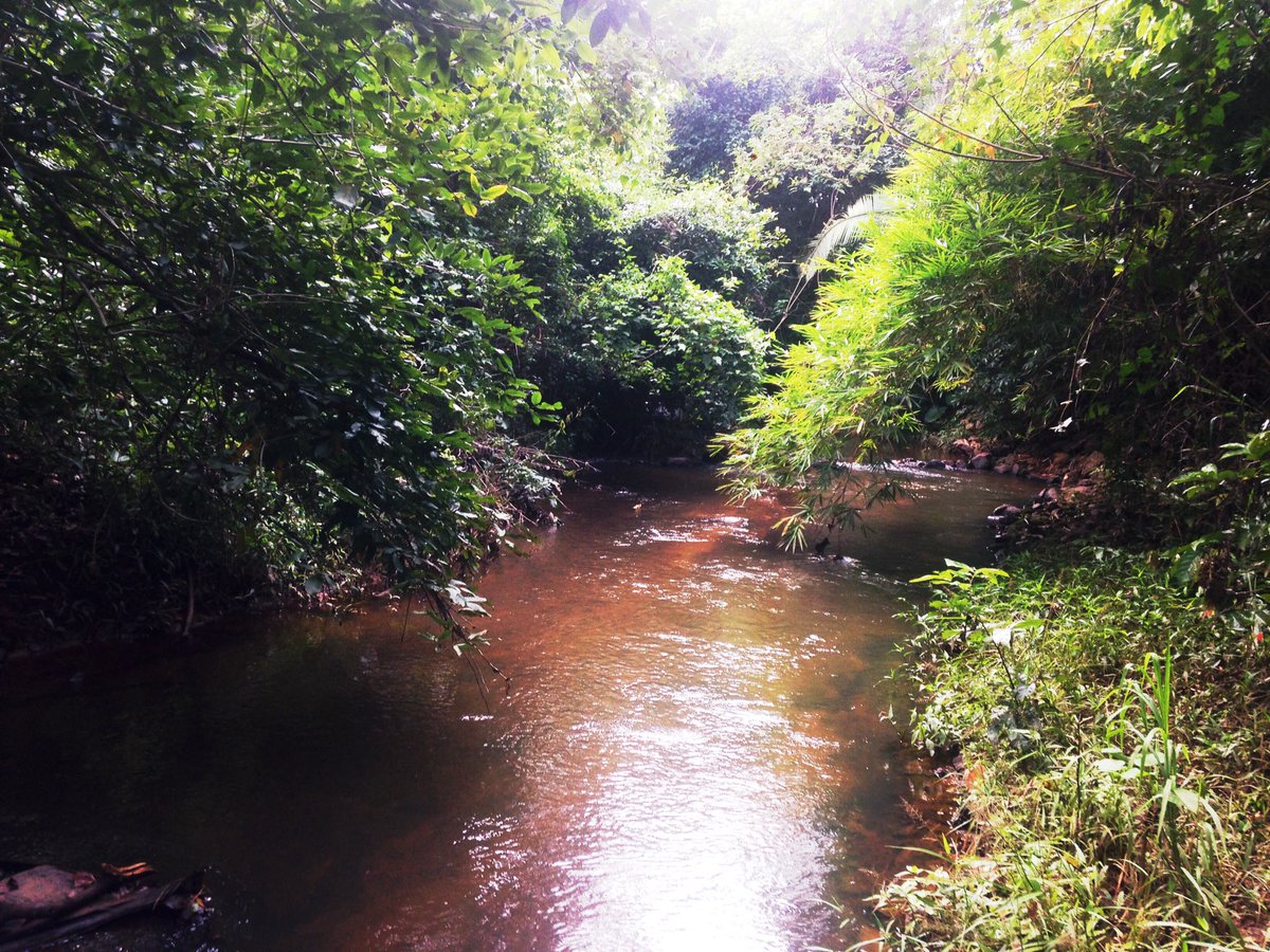 aquelameninadiz's tweet photo. Pessoas desse site, eu e meus avós vamos abrir a casa de Taquaruçu e transformar numa pousadinha. Quem puder me ajude a divulgar dando aquele RT maroto. #Carnaval #serra #paz 
Contato de informações 63 984563185 https://t.co/Ym71nznvah
