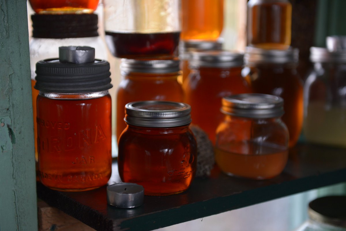 Only 3 more days before that sweet sweet nectar. BLOOD HONEY comes out on January 29th on VOD! #Film #BloodHoney