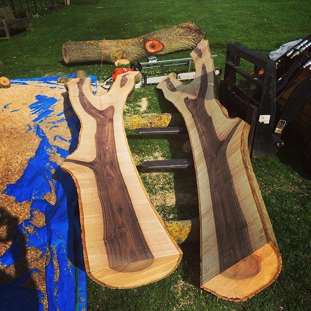 Walnuts walnut #blaiseintrees #alaskanmill #interiordesign #woodporn #chainsawmill instagram.com/p/BebKW04Hiql/