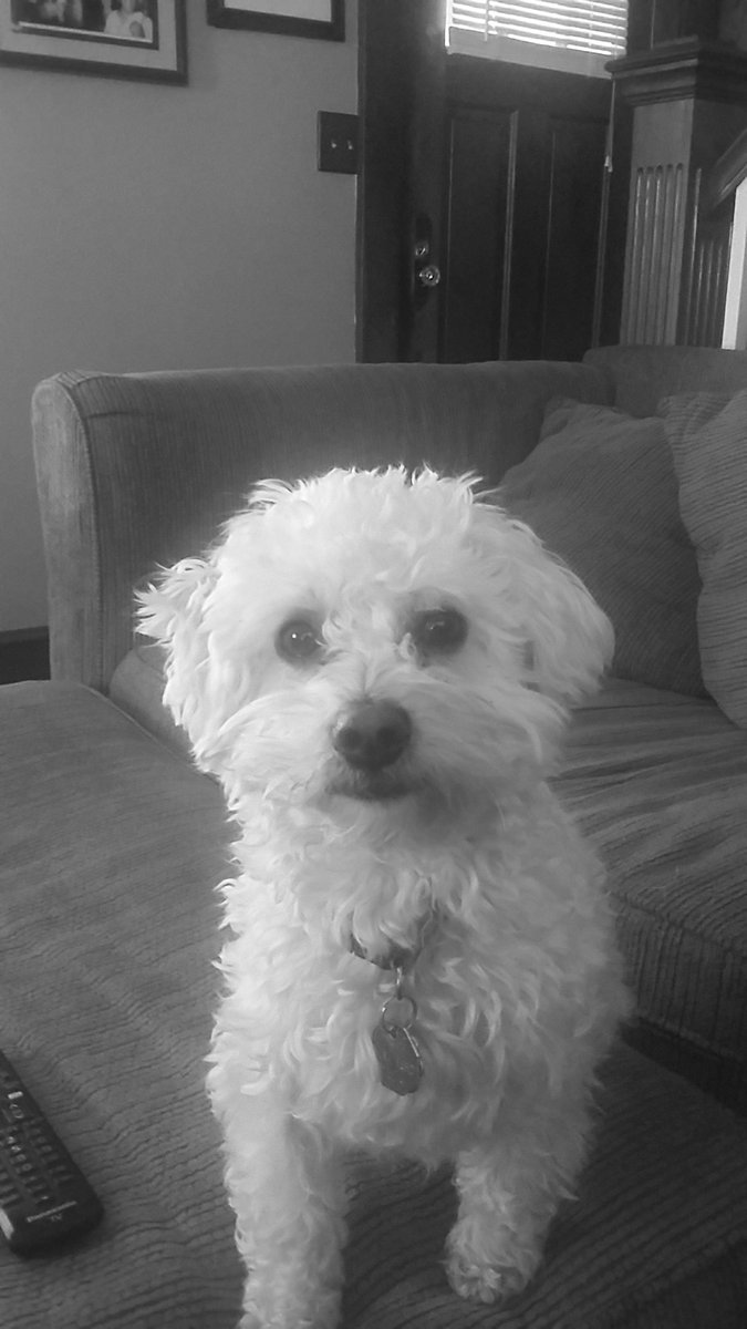 love life it is a gift from god.