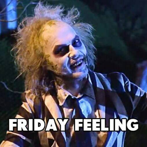 stemhead360's tweet photo. Who else has that #fridayfeeling #fridayfeels https://t.co/pd7ebpKSDu