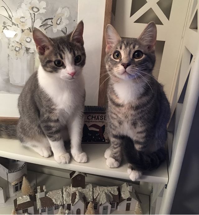 <a href="/apctheosicnd/">Jᴇғғʀᴇʏ Dᴏᴇʀʀ.</a> JEFFREY LO SIENTO.