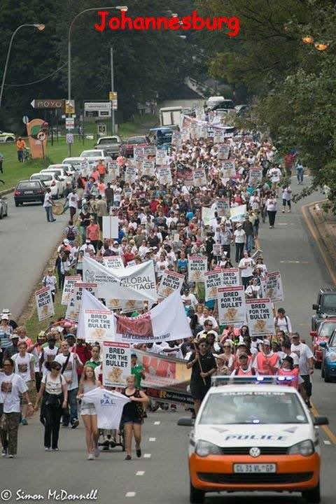 GlobalMarchLion's tweet photo. FLASHBACK
15 March 2014 — 1st GMFL
70+ protests in cities worldwide.
10,000+ people.
Lions deserve better
#bancannedhunting
#dontpetcubs
#banpredatorbreeding https://t.co/lEyJAvp6Ib