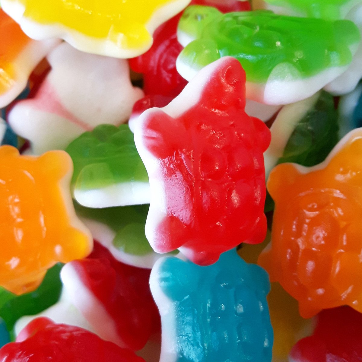 BUDooCrew's tweet photo. Our aesthetic is colourful candy 💙❤💛 https://t.co/fXkVLKJj7a