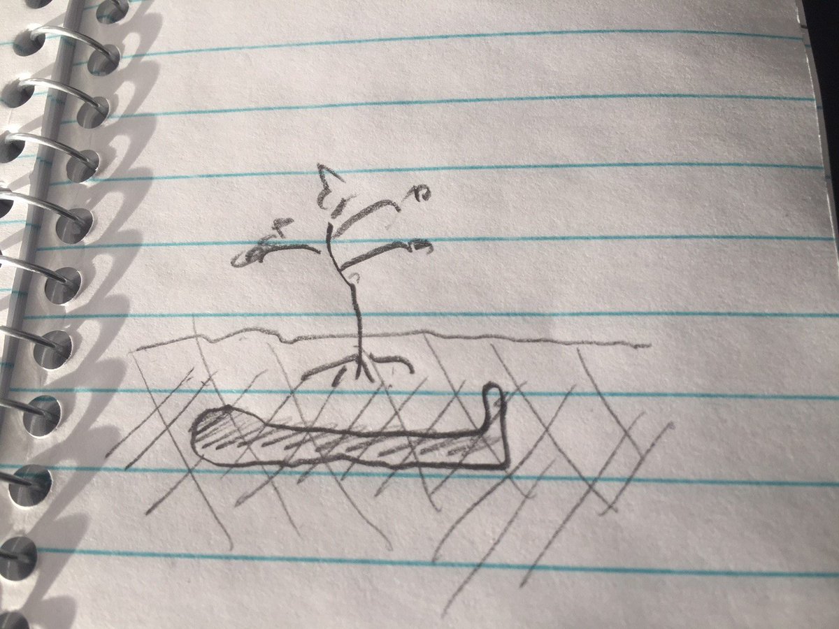 VtGoingUp's tweet photo. Still not easy for a Vermonter to decompose in peace... https://t.co/BFS2Pshr4h @greencouncil_org #btv https://t.co/lcHeJlPJIw