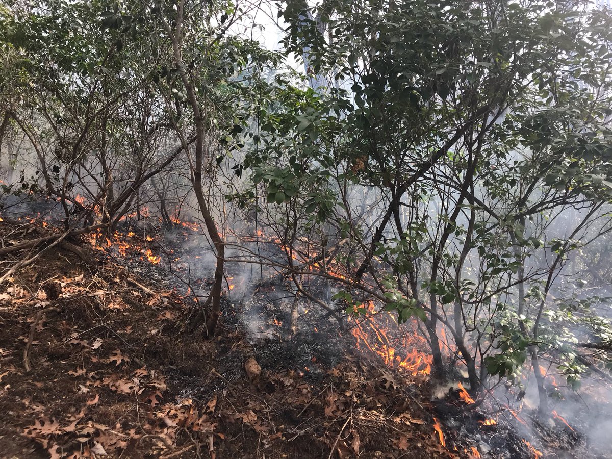 NFsNCarolina's tweet photo. Low to medium intensity prescribed fires, like the one occurring today near Whitewater Falls and pictured below, act as a cleaning agent, thinning out leaves and woody debris, to promote native species and improve wildlife habitat. #GoodFire #NutureNature https://t.co/KSeZRDsRRp