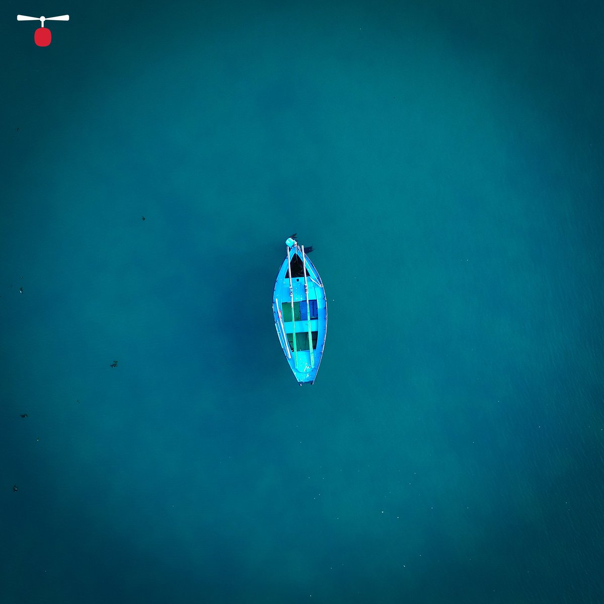 avistadedrones's tweet photo. Dorna(Galician typical boat) #drone #drones #dronestagram #dronefly #dronesdaily #dronephotography #dronefoto #photooftheday #fotodeldia #phantom #phantom4 #dji #djiglobal #instagram #dronephotooftheday #aerialphotography #droneoftheday #instadrone #galicia #ogrove #españa #spain https://t.co/aOzPDq5QrK