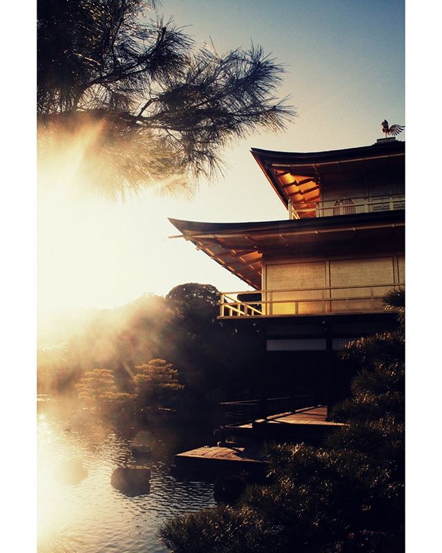 JapanDeluxe's tweet photo. Golden Temple <3 https://t.co/1nAbnobaR7