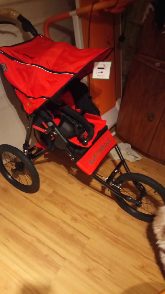chrisswade's tweet photo. Babys first running buggy! 😍 thanks @BuggyRunningUK #ukrunchat #buggyrunning #buggypb https://t.co/Lz1kPvojD2