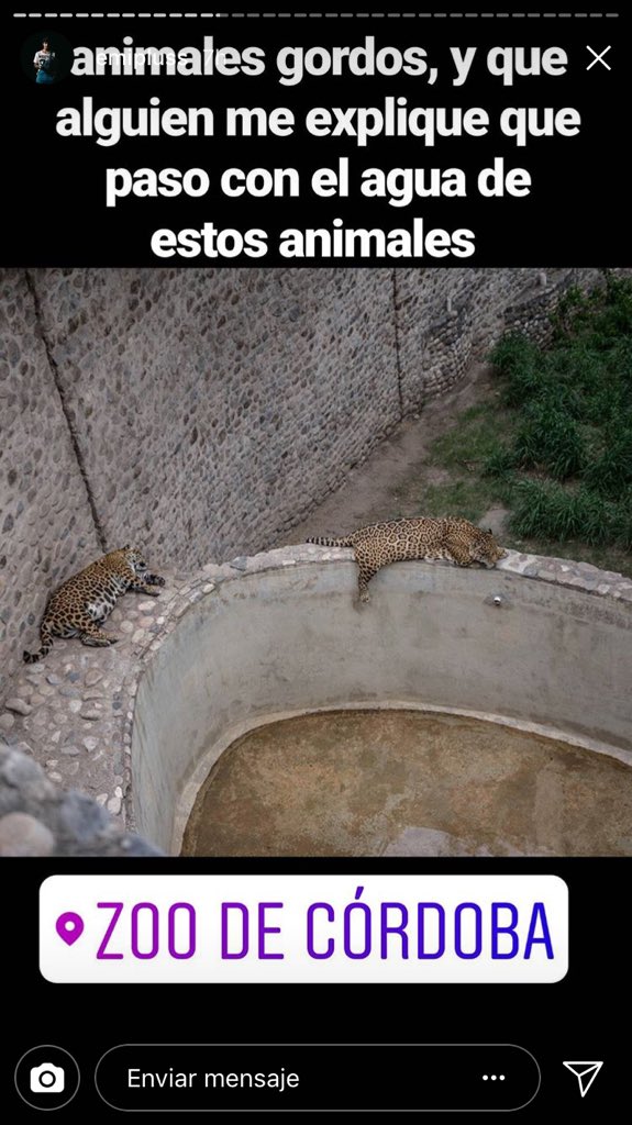 LeandroComba's tweet photo. Asi “viven” los animales del zoo de Córdoba. No entiendo cómo hay gente que paga para ver esto. (Más fotos en la historia de ig de emipluss) https://t.co/NqcF4zNCaX