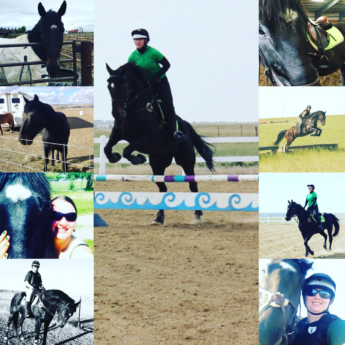 RideOnEventing tweet picture