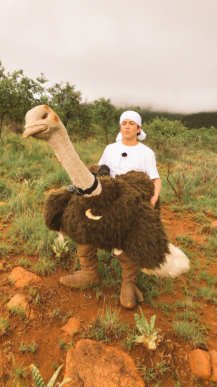 狩野英孝 No Twitter 本日21時からフジテレビ 坂上探検隊 日本の着ぐるみ着て アフリカの野生動物に接触してきました しかし この後チーターに 見てね