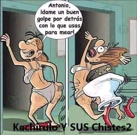 pelukas_berto's tweet photo. Fin de semana https://t.co/j9yutboR6e
