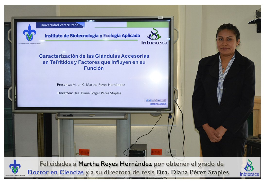 inbioteca's tweet photo. Felicidades Martha Reyes Hernández por obtener grado de Doctor en Ciencias #DCEB @inbioteca #OrgulloUV #UV_DamosMás
https://t.co/AFyqYucack https://t.co/5QOjKJIEoQ