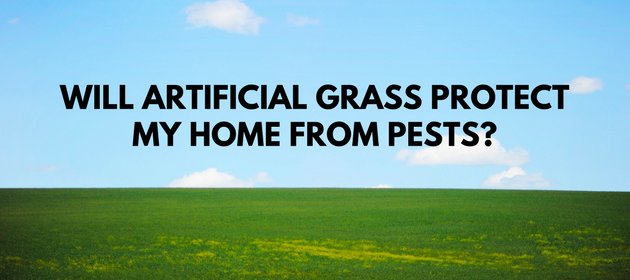 Will Artificial Grass Protect My Home From Pests?
varsitytermiteandpestcontrol.com/will-artificia…