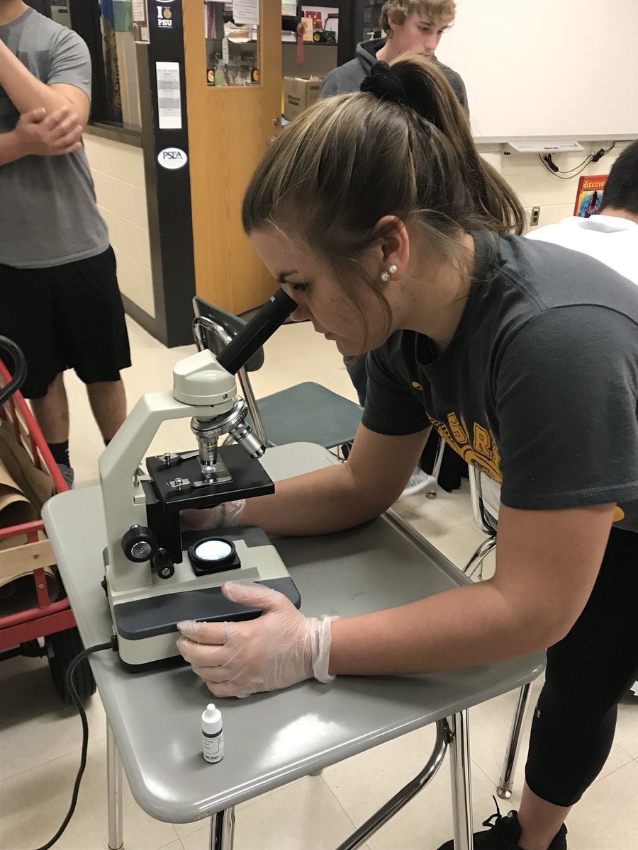 Sherisa Nailor tweet media