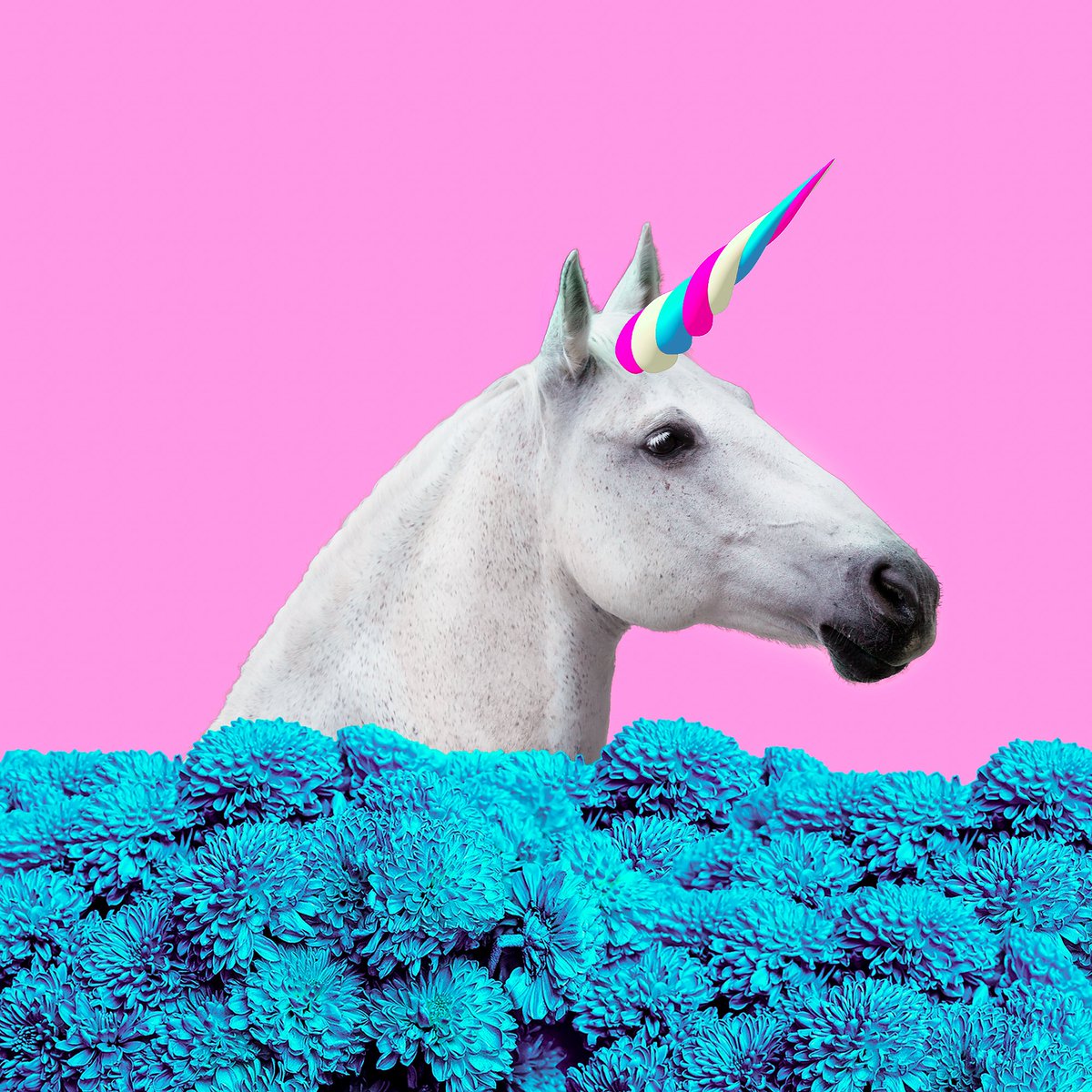 Shutterstock's tweet image. Happy Friday! Wishing everyone a magical weekend full of unicorns and mermaids #CreativeTrends2018 shutr.bz/CreativeTrends…