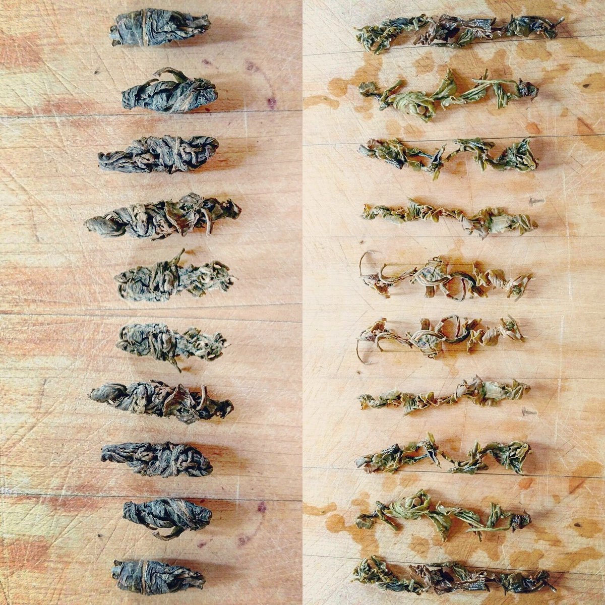 Those Zomba Pearls, tho. From <a href="/SatemwaTea/">Satemwa Tea Estates</a> in #Malawi. We're kind of on an #African #tea kick right now. This #whitetea was made from numerous #tealeaves and buds rolled into #locust-like clusters. Absolutely #tasty, with notes of #melon, #mint, and a mineral complexity.