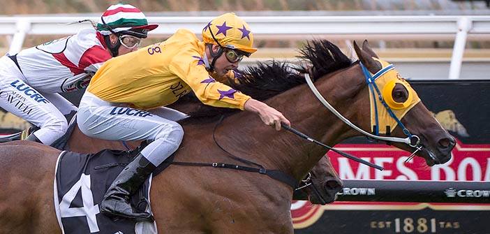ozrace's tweet photo. “He always gives you 110% that is what you can be sure of..."
Parker Proud Of Prince
READ MORE: https://t.co/ehX30D03fm
#Ascot #ClassicalPrince @timw1995 @OfficialRWWA #TeamOz #ParkerRacing https://t.co/9YUeaD6NhZ