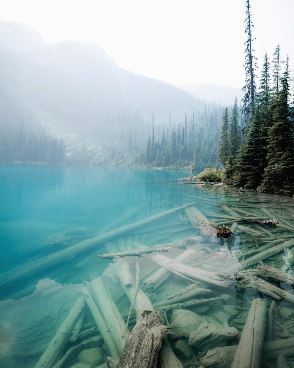 Not only does Canada have some of the most stunning lakes in the world, we also have more lakes than the rest of the world combined! #FunFactFriday 📷everchanginghorizon/IG