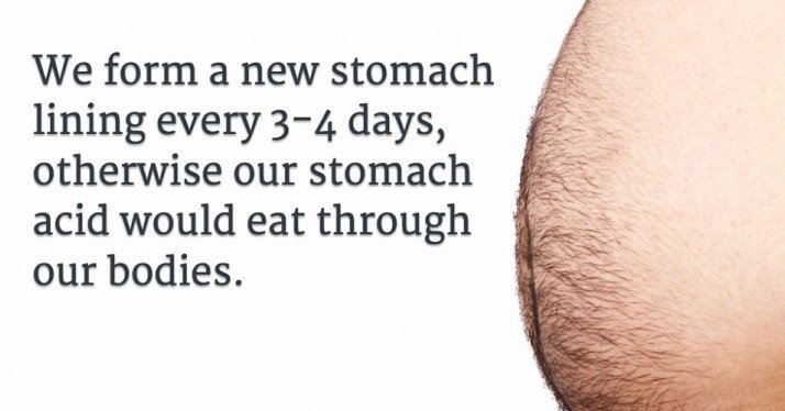 Strange Fascinating World tweet media