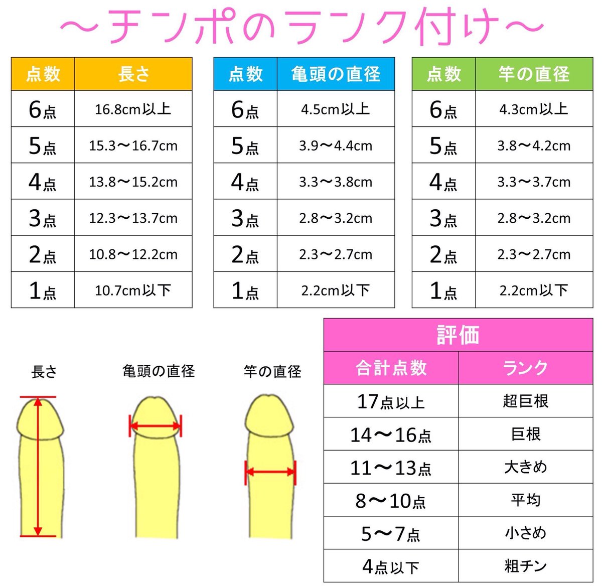 基準 巨根 【デカチン判定】日本人平均基準でのデカマラ/巨根ペニスは何cmから？