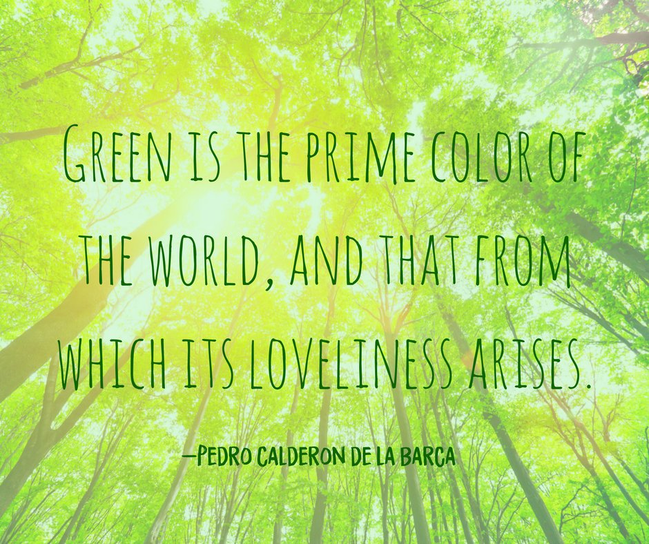 NFCampingGuides's tweet photo. Embrace the green life, and visit a National Forest this weekend! https://t.co/iWVuL6ew9c