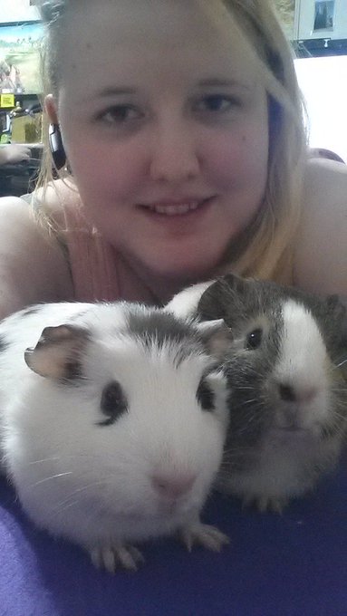 Me with my Guinea Pigs Cleo and Venus https://t.co/Yl98eh2N7e<a href="/tag/cakeface"class="tags"><span>#cakeface</span></a>