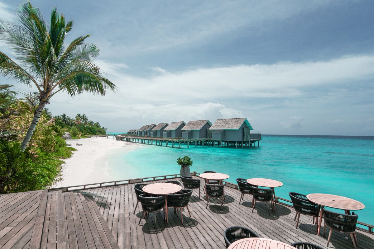 Niva_Kuramathi's tweet photo. Who’s up for lunch🥗🍽️in Inguru?
#Kuramathi #Maldives #island #resort #lunchtime #Inguru #ginger #restaurant #ocean #food #paradise https://t.co/wux5LzDvrj