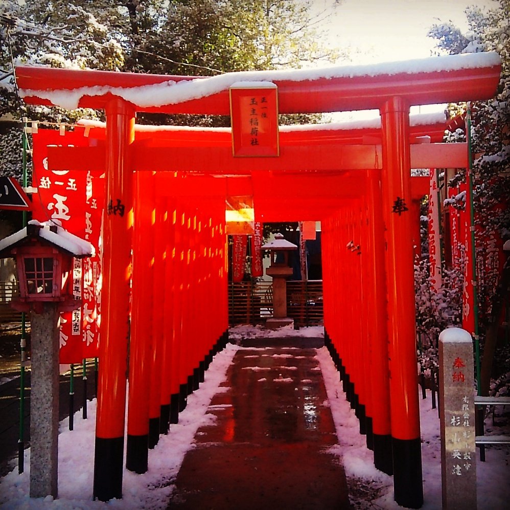 鳥居 が たくさん