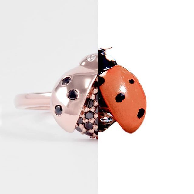 ZmayJewelry's tweet photo. Have you ever had a ladybug take off from the tip of your finger? It's magical 😍💍
#zmay #jewelry #handmade https://t.co/BNy4S0dO96