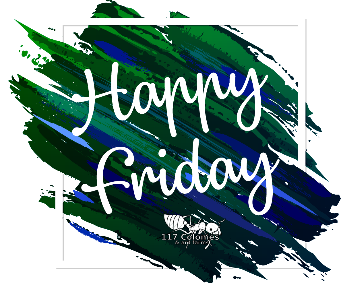 Colonies117's tweet image. #HappyFriday! Enjoy the #Weekend.
#Ants #AntFarms #AntFarmsforsale
