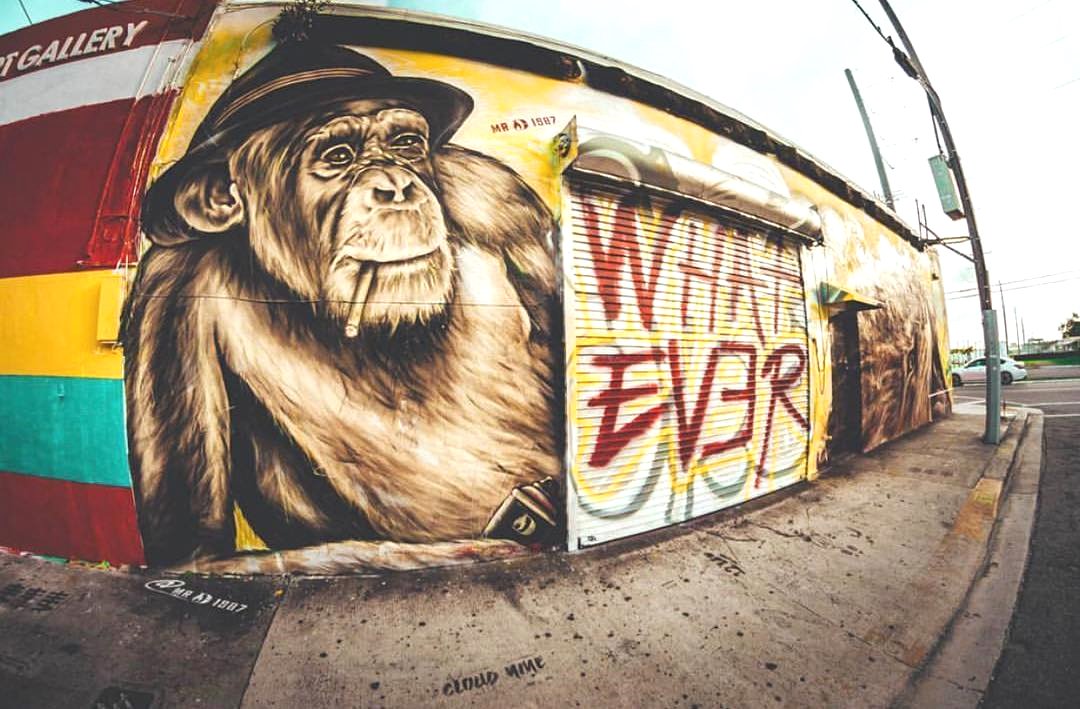 DonaldLesterJr's tweet image. Repost from @wynwoodmiami

Is it #FashionNightOut yet? This @mrd1987 mural is our #Mood. Check out this piece outside of white dot gallery on 174 Northwest 23rd Street.📸:@gogogadget_nikon