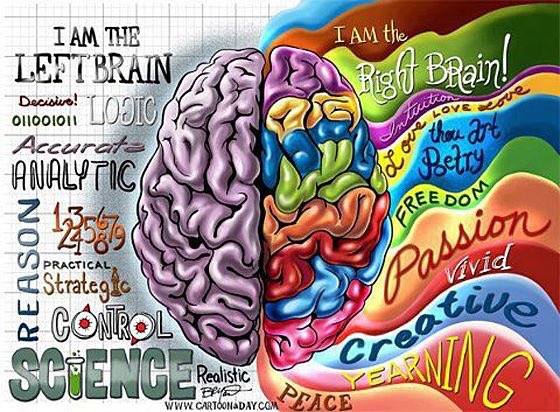 kldeutzman's tweet image. Allow your children and students to engage in activities that stimulate both sides of the brain #logicandcreativity