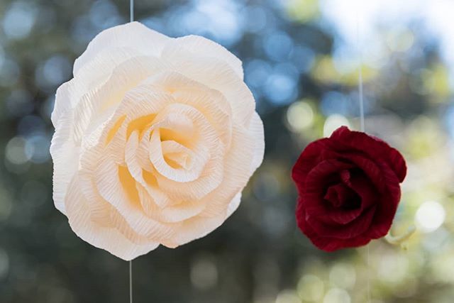 vestedimage's tweet photo. I'm in love with these paper flowers from @paperswallowevents!!! https://t.co/YquSOERhR4 https://t.co/dVW91PuMv3