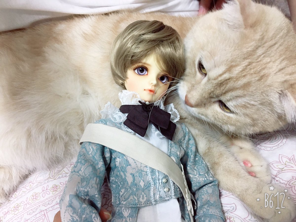 taira78_bjd's tweet photo. ๋ฅ์ด๋ค์๊ฒ ์น๊ทผ๋๊ฑฐ๋ฆฌ๊ธฐ
์๋ฐฉ ๋ณด์กฐ์ถ์ฐ ใ
๋คํํ ์ธ์ ๋ค์ ์ธํ์ ๋ณ๊ด์ฌ์ด ์๋ค ๋ชจํค์ด๋นผ๊ณค ใ
ใ
#๊ณ ์์ด #๋ฅ์คํ๊ทธ๋จ #cat #bjd #bjddoll #dod #doddoll https://t.co/fZLJ7XNatJ