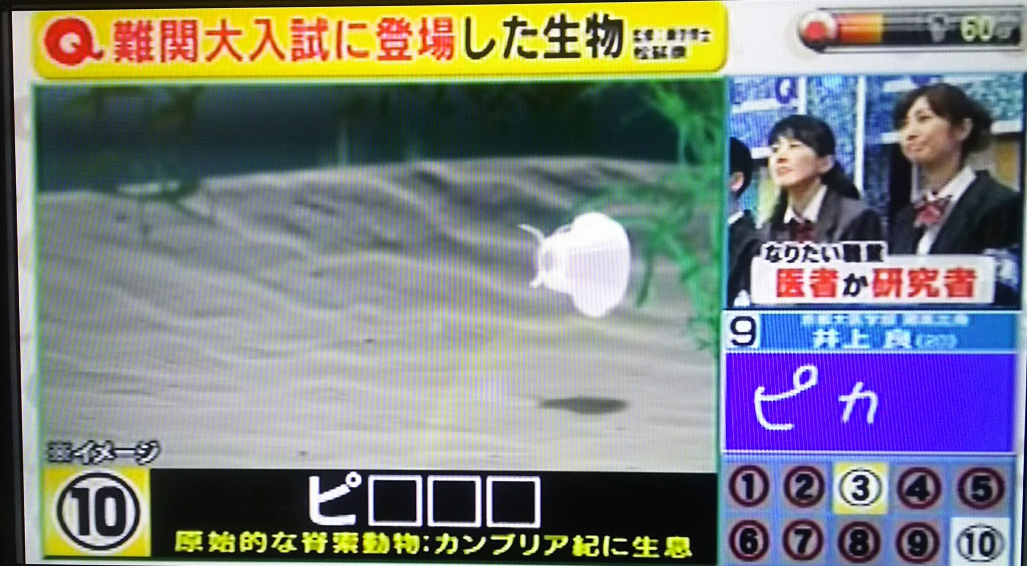 井上良 Twitter Search Twitter