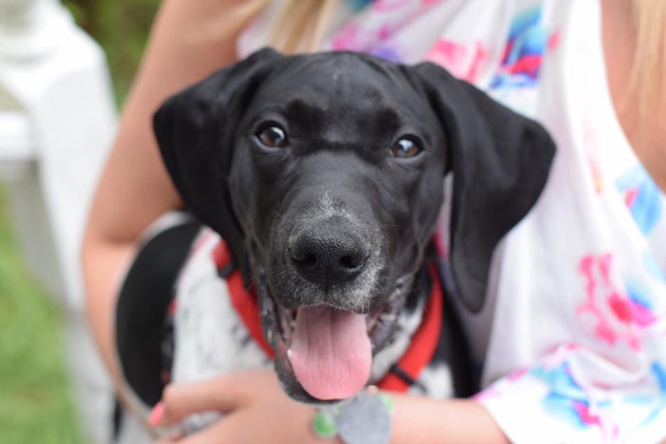 jhyde37's tweet photo. Can we all just take a second and look at Jordan’s puppy pics @amoore70 @alyssa_fields7 https://t.co/niQehLZufH
