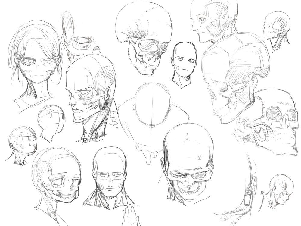 頭部のメモスケッチ✍️ 