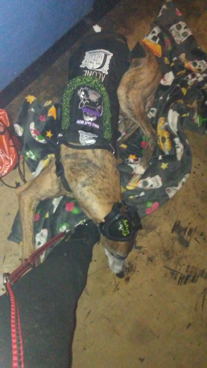 Greyt_Service tweet picture