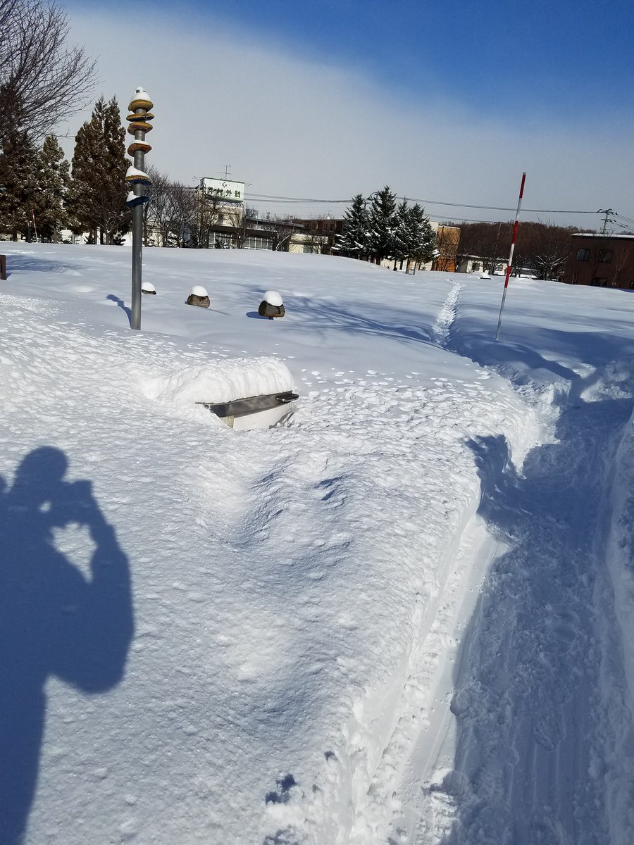 澄川北緑地