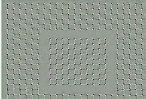 WoahIllusions's tweet photo. Picture may look like it is moving https://t.co/JC8W05xWPu